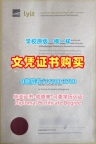 爱尔兰大学学位办理！定做莱特肯尼理工学院成绩单爱尔兰LYIT硕士文凭证书 Master Degree