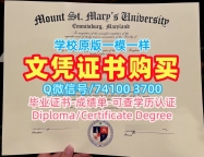 美国毕业文凭证书1比1制作|洛杉矶圣玛丽山大学毕业证成绩单怎么办理|MSMU成绩单原版复制