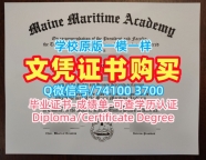 美国在读证明信买/缅因海事学院毕业证认证学位证书扫描件1比1仿制MMA本科文凭 Maine Maritime Academy Office Transcript