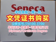如何办理圣力嘉学院文凭证书|Seneca毕业证哪里买Seneca College Offer
