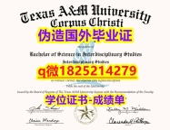 伪造毕业证【美国德克萨斯A&amp;amp;M大学毕业证修改】外国毕业证书在中国可以用吗？