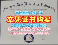 购买国外文凭证书！原版制作南新罕布什尔大学毕业证书美国SNHU学历证书 Office Transcript