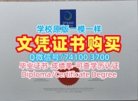 新西兰大学毕业证文凭认证!论文没过奥塔哥理工学院本科文凭证书新西兰OP硕士文凭证书 Degree