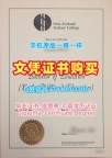 新西兰文凭学历认证在线购买/新西兰高等教育学院毕业证书范本成绩单电子版原版定做NZTC毕业文凭证书 New Zealand Institute of Advanced Education Bachelor Diploma
