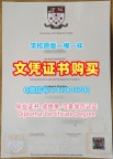 原版定制圣马克与圣约翰大学学位证书|Marjon文凭学历认证做St Mark and St John's University Degree