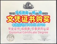 美国本科毕业证书哪里购买/伊利诺伊大学厄巴纳-香槟分校毕业证转学成绩单挂科UIUC文凭证书设计 University of Illinois Urbana-Champaign Diploma
