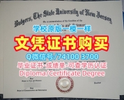 国外文凭学历认证专业名称！快速制作罗格斯大学纽瓦克分校学位证美国Rutgers Newark硕士文凭证书 Master Diploma