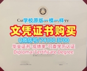 在线购买卡内基梅隆大学硕士毕业证书|CMU本科毕业证书原版复刻Carnegie Mellon University Offer