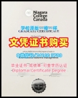 国外学历认证书！做尼亚加拉学院硕士毕业证书加拿大Niagara文凭毕业证 Bachelor Diploma