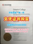 加拿大文凭证书实拍图哪里购买|卡纳多学院毕业证书案例哪里购买|Canadore成绩单修改挂科