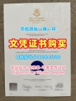 国外文凭范本！怎么购买昆士兰大学硕士文凭证书澳洲UQ文凭毕业证 Academic Transcript