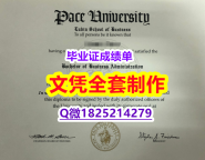 留学生补办毕业证【美国佩斯大学毕业证假】造假学士成绩单