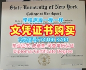 美国成绩单论文没过/纽约州立大学布洛克波特学院毕业证书复印件硕士学位快速办理Brockport硕士学历 The College at Brockport, SUNY Offer