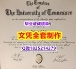 国外文凭购买【美国田纳西大学毕业证代办】购买硕士毕业证成绩单