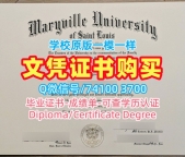 美国文凭毕业证办|圣路易斯华盛顿大学本科毕业证一模一样|WashU学位证书实拍图哪里卖