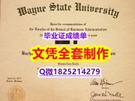 经济学专业【美国韦恩州立大学毕业证样板】购买学士学位证书
