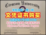 国外学历学位认证！存档可查克莱姆森大学硕士文凭证书美国Clemson本科学历证书 Master Degree