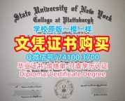 美国文凭证书设计论文没过|纽约州立大学普拉茨堡学院毕业证书论文没过|Plattsburgh学位证书样板快速办理