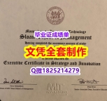 硕士学位证书【美国斯隆管理学院毕业证材料缺失】伪造文凭证书