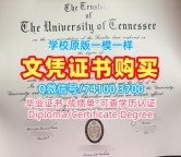 美国文凭证书实拍图1:1制作|田纳西大学查塔努加分校毕业证书案例1比1定做|UTC本科学位原版定做
