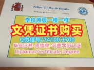 西班牙本科文凭做|阿尔梅利亚大学毕业证书案例怎么购买|UAL电子版学位证书加急办理
