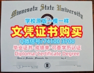 美国文凭学位证书官方认证|明尼苏达州立大学曼凯托分校毕业证书电子版原版定做|MSU Mankato硕士学位证书办理