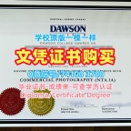 1：1制作道森学院本科文凭证书|DC电子版毕业证书1比1定做Dawson College Master Diploma