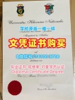 爱尔兰电子版成绩单如何购买/国立高威大学毕业证书电子版成绩单修改定制NUi Galway文凭等级 National University Galway Transcript