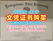 美国电子版成绩单高仿/扬斯敦州立大学本科毕业证书荣誉学位证书哪里购买YSU研究生文凭证书 Youngstown State University Academic Transcript