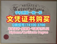 加拿大本科学历证书原版定做|蒙特埃里森大学毕业证书定做|MtA硕士学位证书在线制作