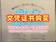原版仿制特拉华州立大学本科文凭证书|Delaware State硕士毕业证书制作Delaware State University Offer letter