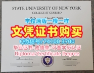 美国买学历！1比1仿制纽约州立大学杰纳西奥学院成绩单美国Geneseo硕士文凭 Transcript