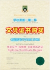爱尔兰学位证书1比1定做/利默里克大学毕业证书复印件成绩单修改高仿UL学历学位证书 University of Limerick Bachloer Degree