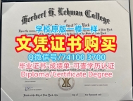 美国文凭证书在线制作|纽约市立大学莱曼学院毕业证书扫描件官方认证|Lehman College本科学位真实可查