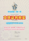 英国本科文凭证书仿制|朴茨茅斯大学毕业证书原版复制|UoP成绩单修改做
