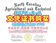 美国硕士学历证书原版仿制|北卡罗来纳农业技术州立大学毕业证认证制作|NC A&T正式成绩单在线办理