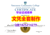 学历学位证认证购买【加拿大温哥华社区学院毕业证院校签名核实】办美国学历认证
