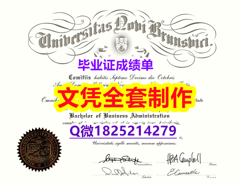 造假本科【加拿大新不伦瑞克大学毕业证硕士学历】办理假学历 造假本科【加拿大新不伦瑞克大学毕业证硕士学历】办理假学历