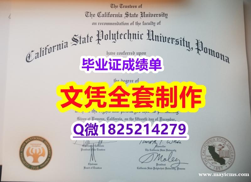 购买本科毕业证【美国加州州立理工大学波莫纳分校毕业证咨询办理】伪造研究生假学历 购买本科毕业证【美国加州州立理工大学波莫纳分校毕业证咨询办理】伪造研究生假学历