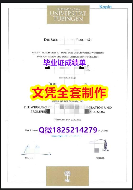 补办硕士假学历【德国蒂宾根大学学毕业证2019版】办理研究生假学历 补办硕士假学历【德国蒂宾根大学学毕业证2019版】办理研究生假学历