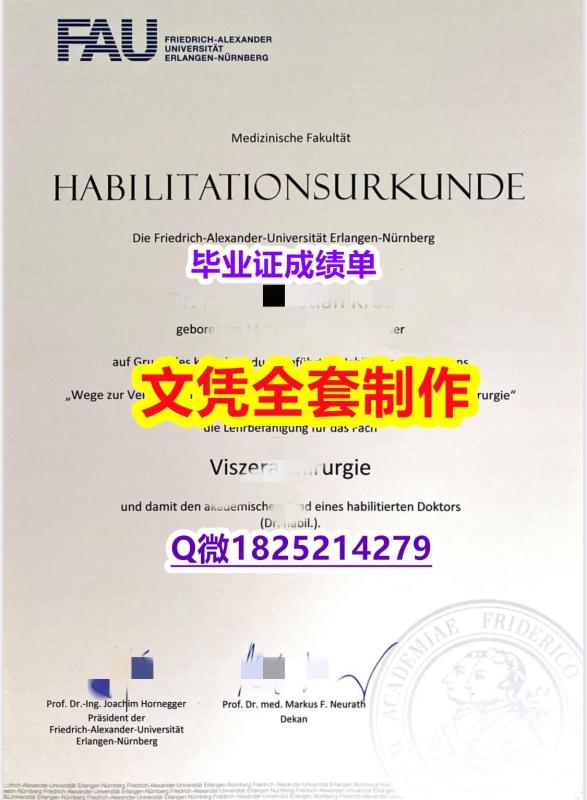 国外毕业证可以查吗?【德国埃尔朗根-纽伦堡大学毕业证留学生伪造】伪造硕士毕业证成绩单 国外毕业证可以查吗?【德国埃尔朗根-纽伦堡大学毕业证留学生伪造】伪造硕士毕业证成绩单