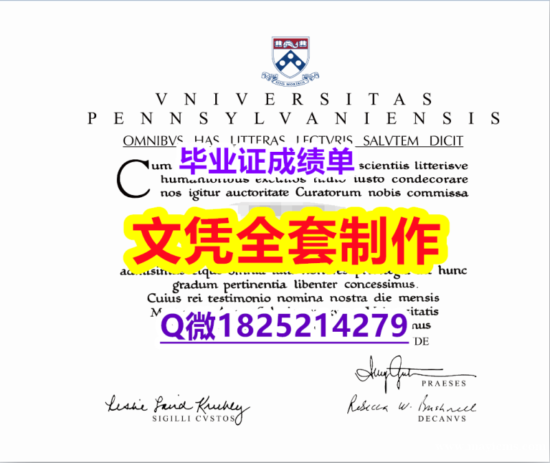 【留学新西兰】【美国宾夕法尼亚大学毕业证在哪里可以制作】造假学士学位证书 【留学新西兰】【美国宾夕法尼亚大学毕业证在哪里可以制作】造假学士学位证书