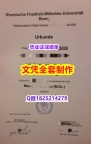 1:1学校原版学校仿【德国波恩大学毕业证怎么样办伪造】伪造本科文凭证书