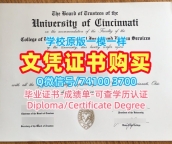 美国成绩单原版复制/辛辛那提大学本科毕业证书成绩单1比1复刻UC文凭证书英文 University of Cincinnati Offer letter