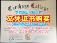 文凭办理！原版定制迦太基学院学历学位认证美国Carthage文凭证书设计 Transcript