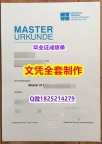 被开除可买【德国康斯坦茨大学毕业证零差评】办理研究生文凭证书