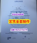 造假硕士毕业证【德国拜罗伊特大学毕业证造假案例】造假硕士成绩单