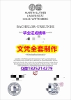 《假学位证》【德国哈勒-维滕贝格大学毕业证改造】专业为留学生办理