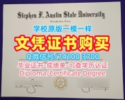 美国硕士文凭证书1：1制作/斯蒂芬·奥斯汀州立大学毕业证电子图成绩单电子版原版定做SFA文凭证书实拍图 Stephen F. Austin State University Offer letter