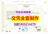 材料科学专业【法国斯特拉斯堡大学毕业证2021版】造假本科假学历
